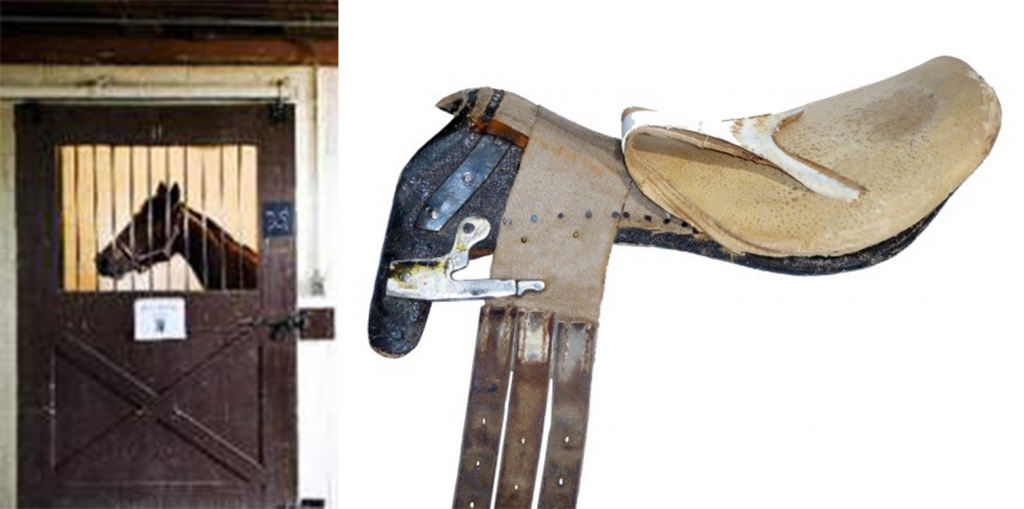 Fallgeschichten aus der Sattelanpassung