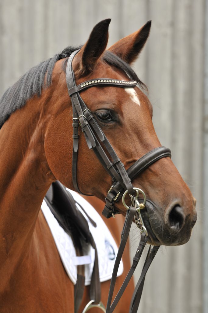 Die korrekte Anpassung eines Kopfstücks