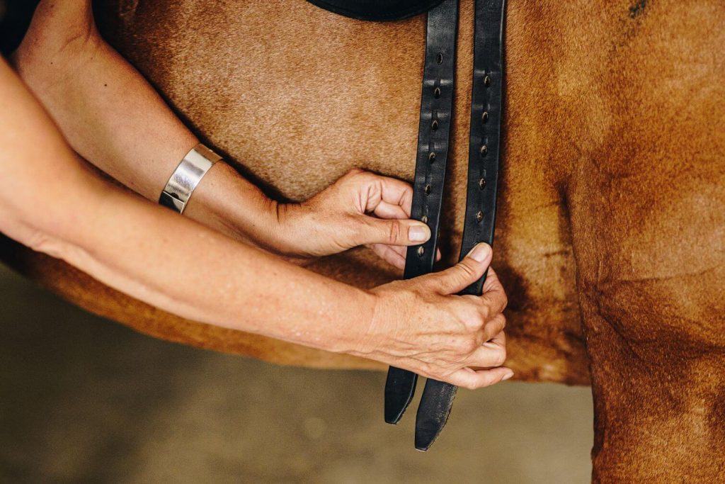 Gurtlage Schleese Sattel